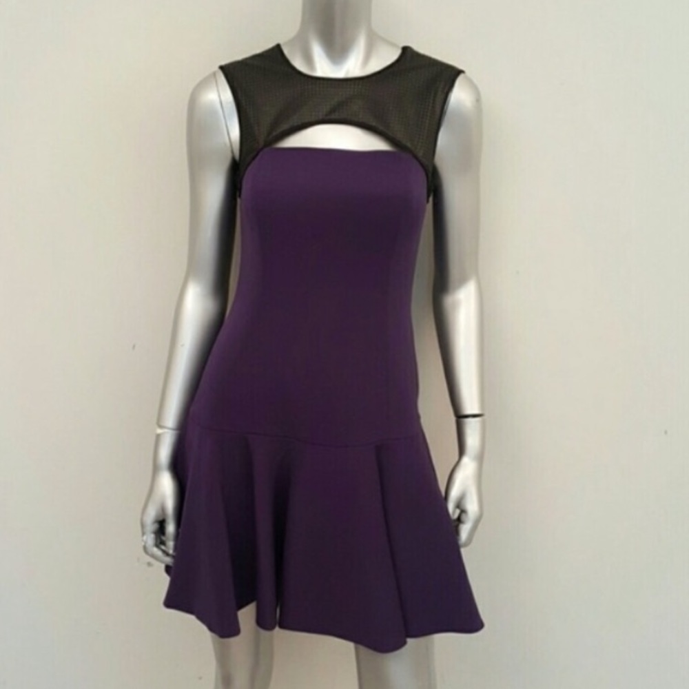Jay Godfrey Bishop Flounce Dress in Purple